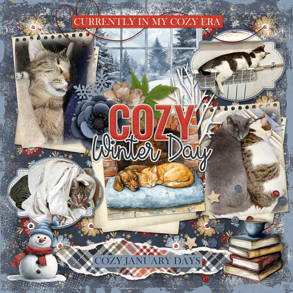 Cozy Winter Day
