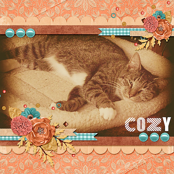 Cozy