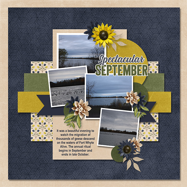 CP_2023 September