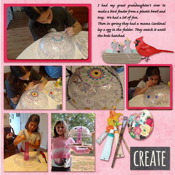 Craft Bird Feeder