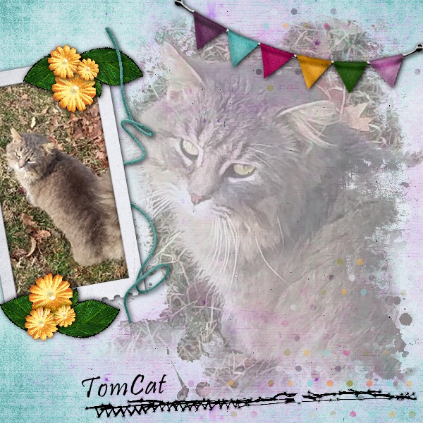 Craft Fair: Week 2 {Painting/Watercolor}