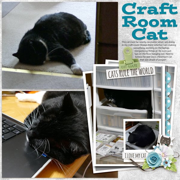Craft Room Cat