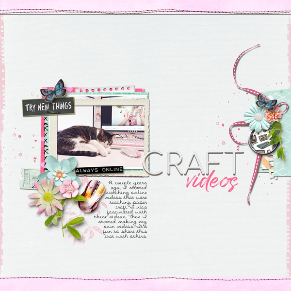 Craft Videos