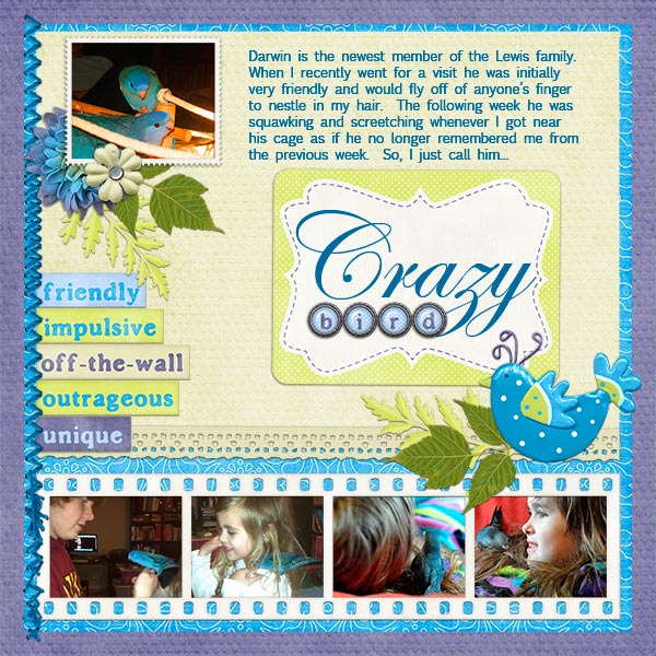 Crazy Bird