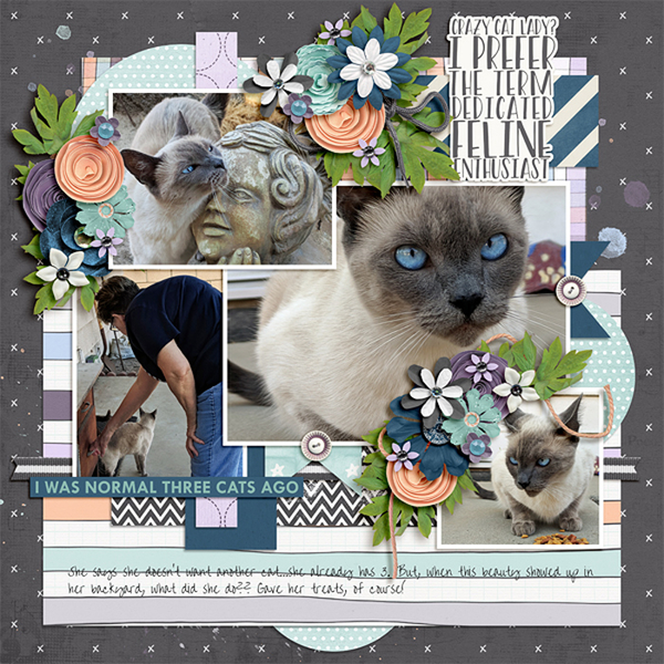 crazy cat lady