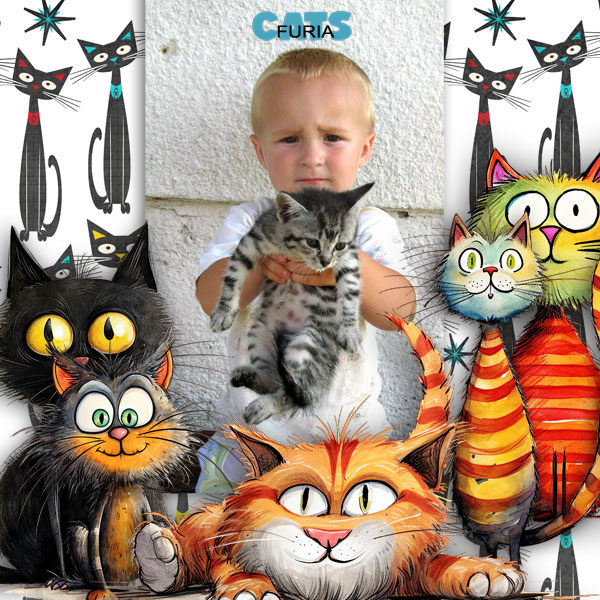 Crazy Cat Lady
