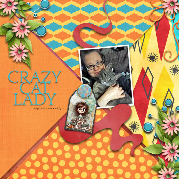 Crazy Cat Lady