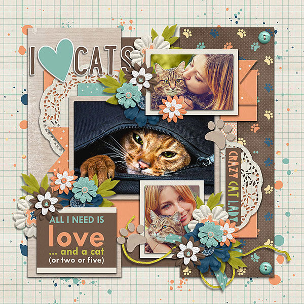 Crazy Catlady