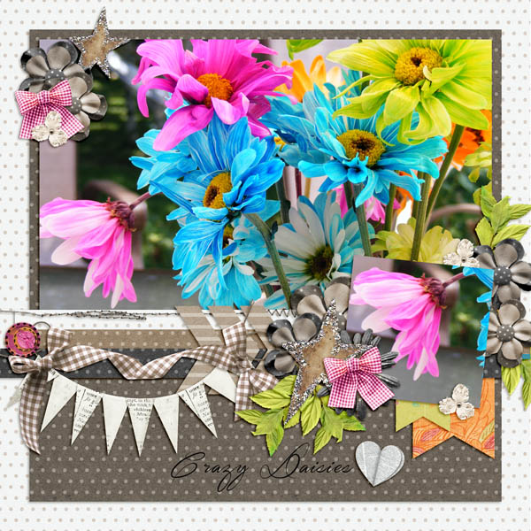 Crazy Daisies