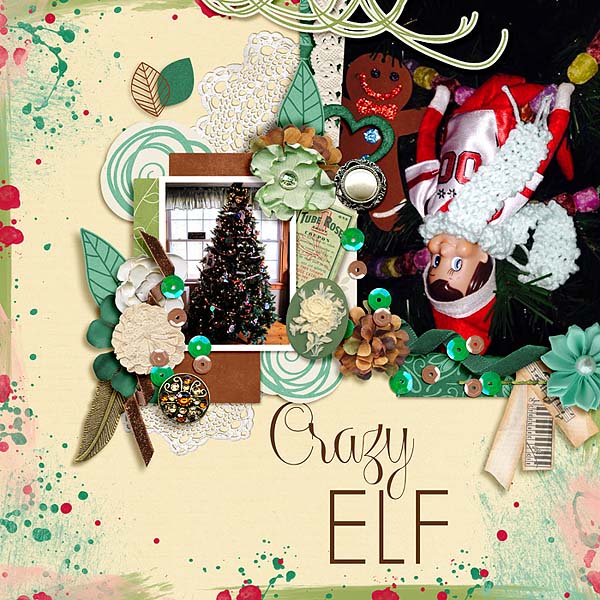 Crazy Elf