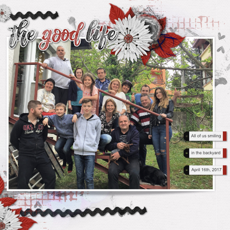 Crazy Family