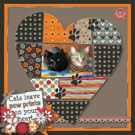 Crazy for Cats