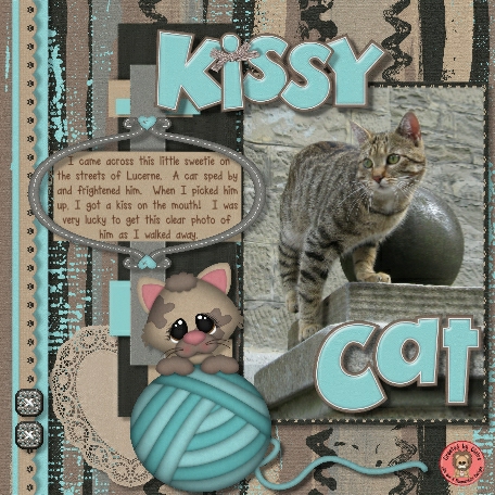 Crazy for Cats
