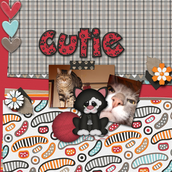 Crazy For Cats