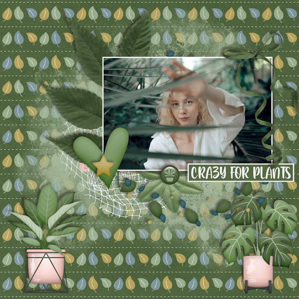 Crazy For Plants