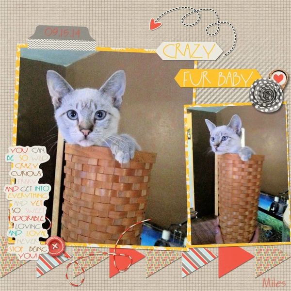 Crazy Fur Baby