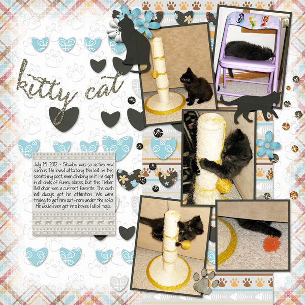 crazy kittne