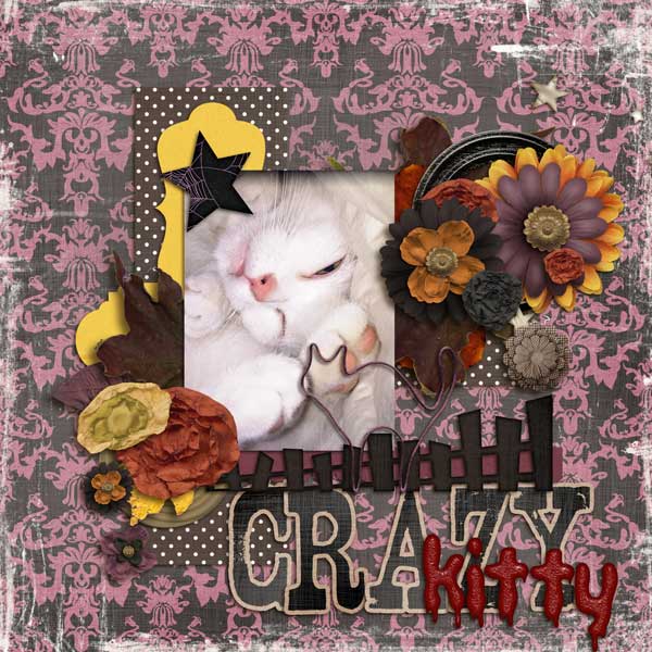 Crazy Kitty