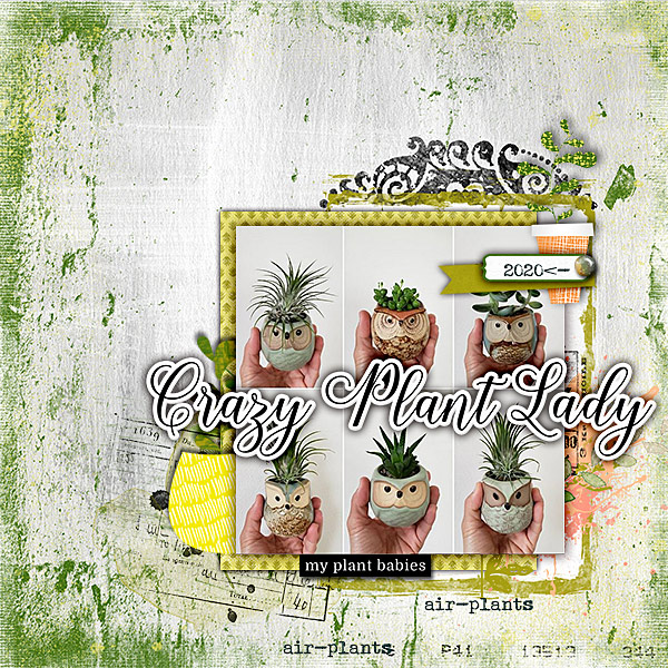 Crazy Plant Lady