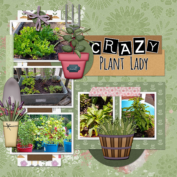 Crazy Plant Lady