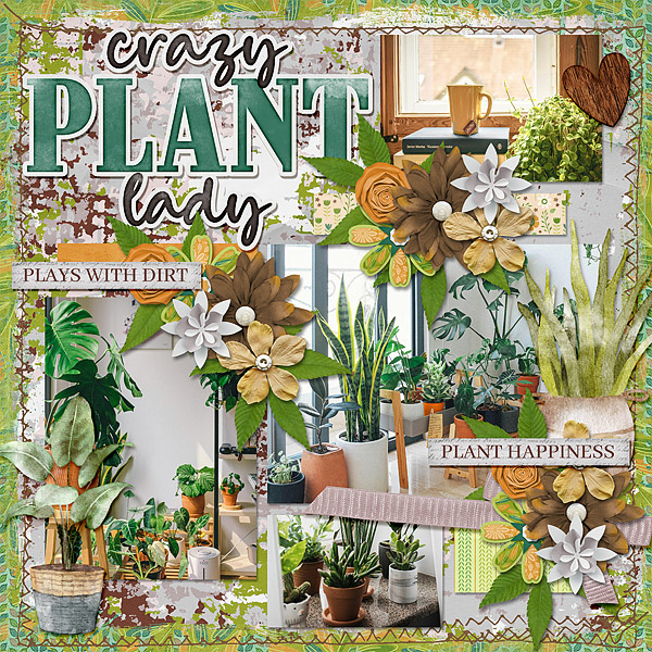 Crazy Plant Lady