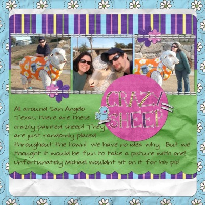 Crazy Sheep