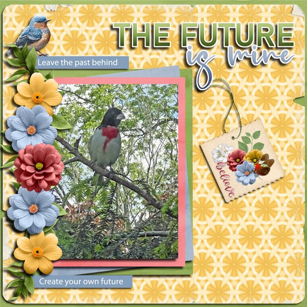 Create Your Own Future