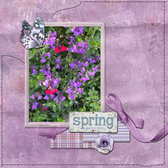 Created W Rewards 8x8 72.jpg