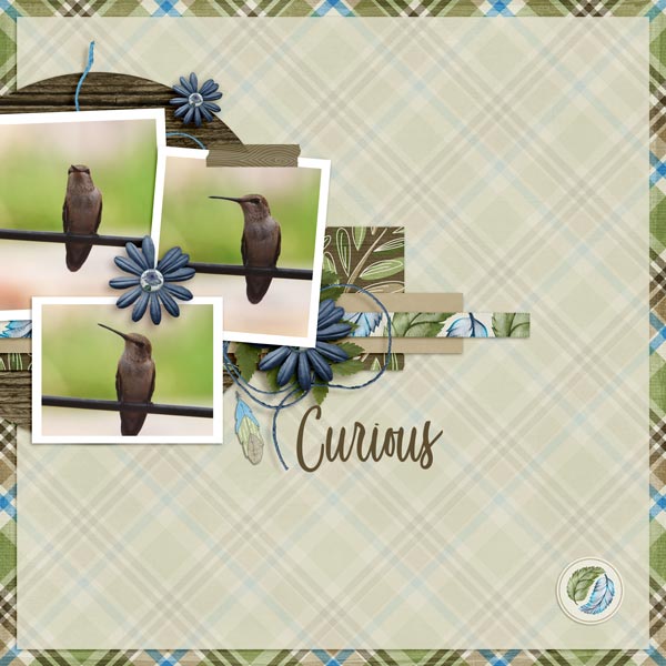Created w/rewards Challenge-May