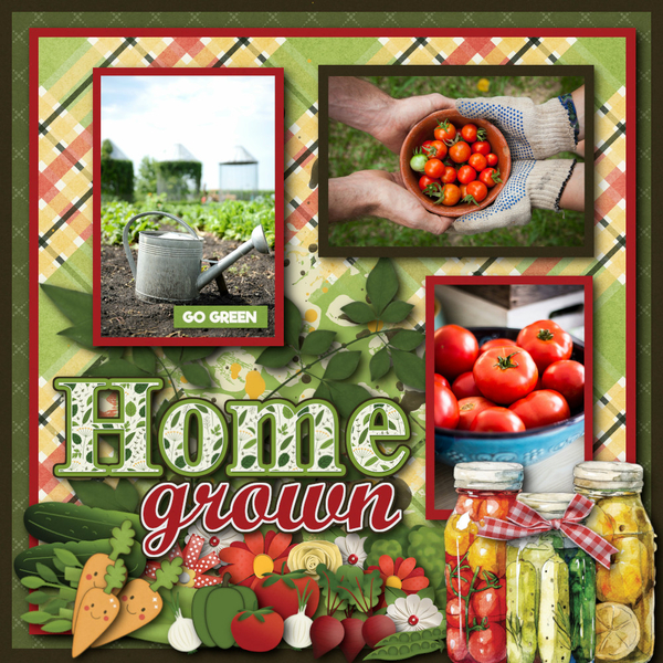 Created with Rewards challenge dec2024