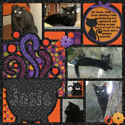 Creatures of the Night