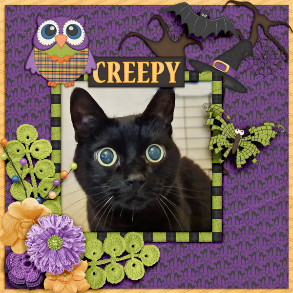 Creepy4