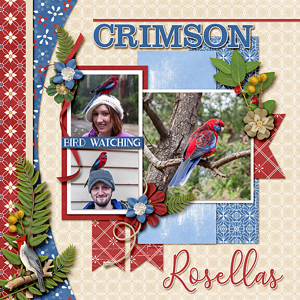 Crimson Rosellas
