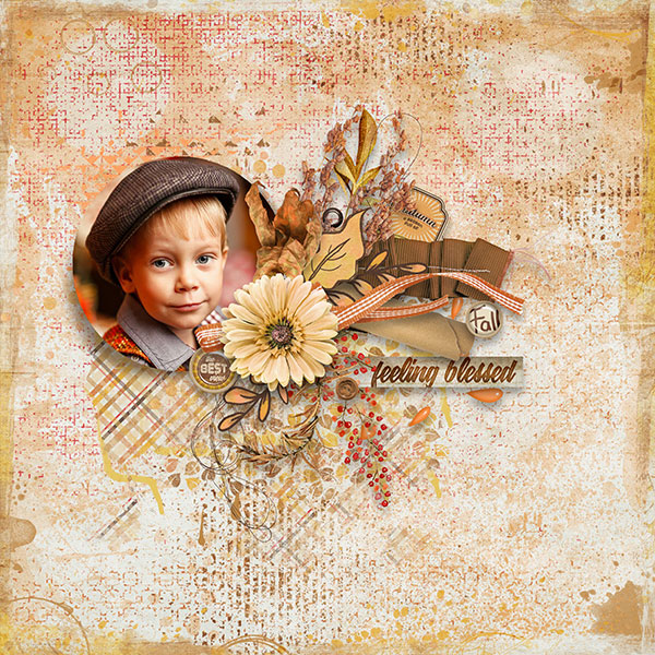 cripsy-golden