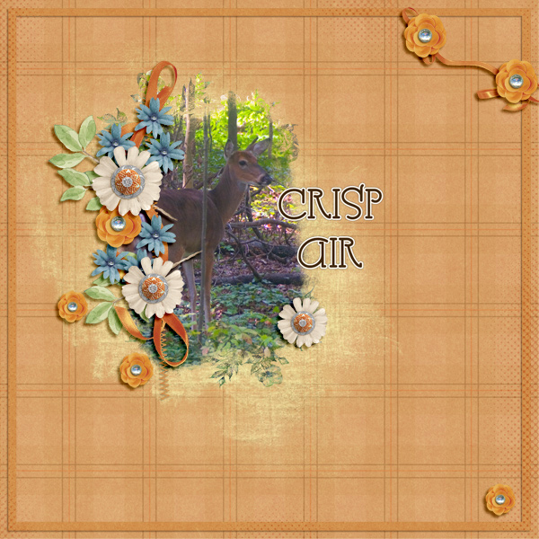 Crisp Air