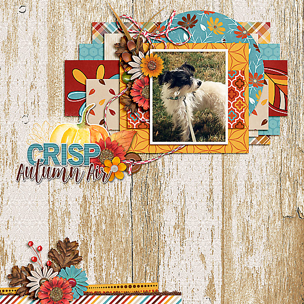 Crisp Autumn Air