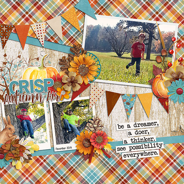 Crisp Autumn Days