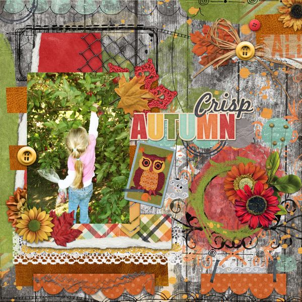 Crisp Autumn