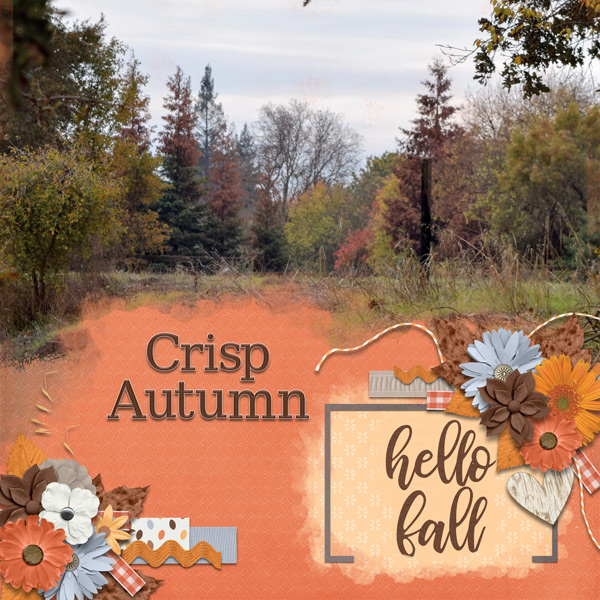 crisp autumn