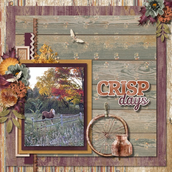 Crisp Days