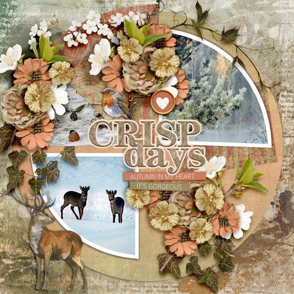 Crisp-days