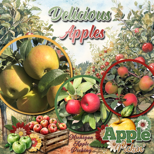 Crisp Fall Apples