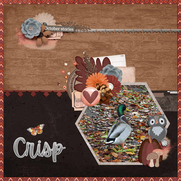 crisp leaves and a duck