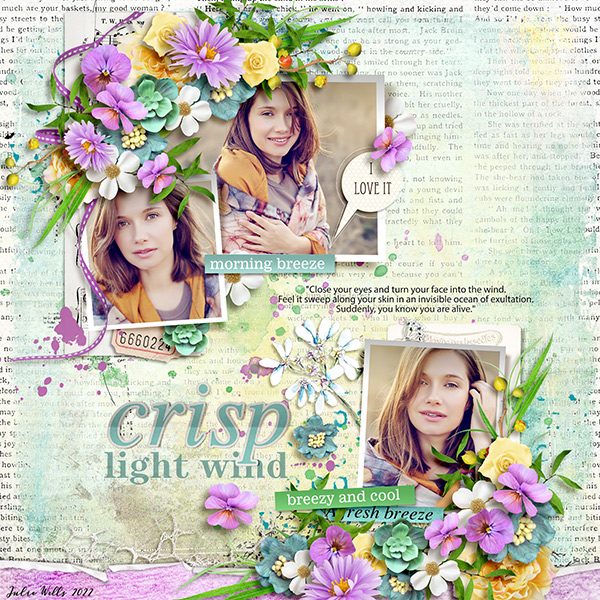 crisp light wind
