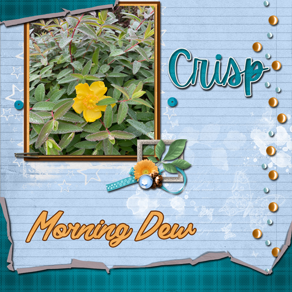 Crisp morning dew