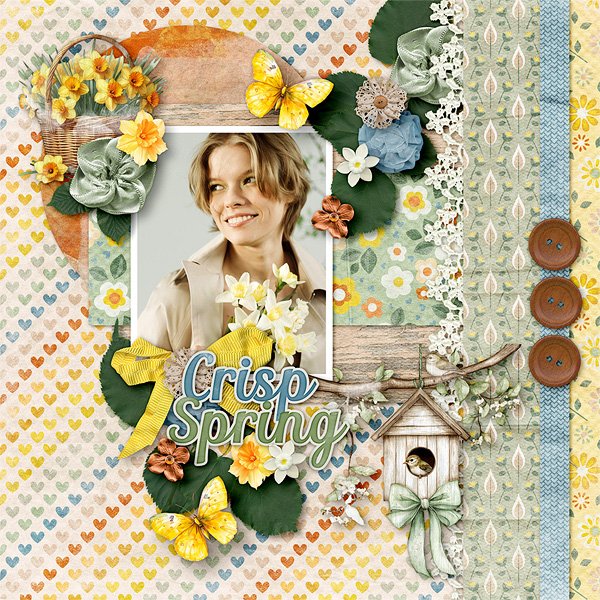 Crisp Spring