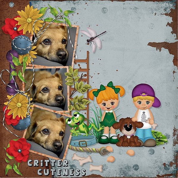 Critter Cuteness