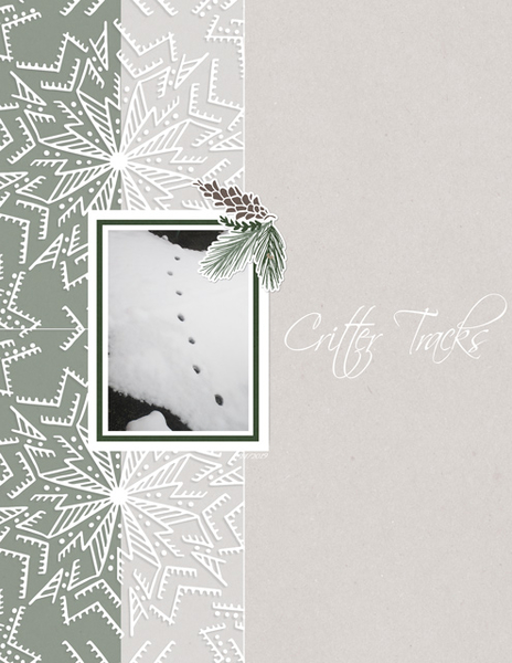 Critter Tracks