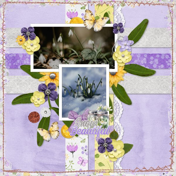 crocus.jpg