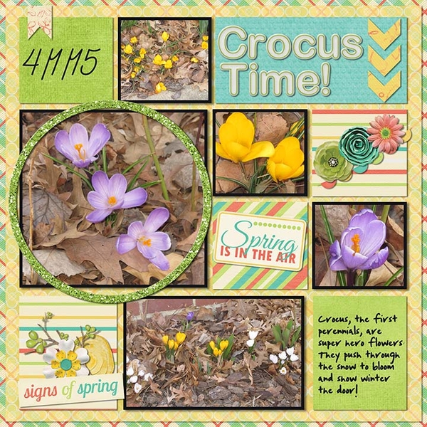 Crocus Time!